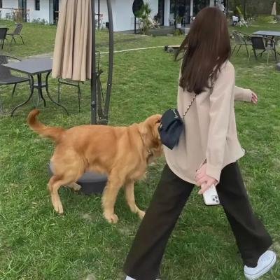 狐狸新娘星